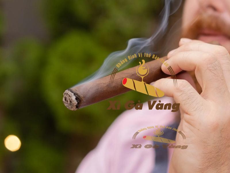Thưởng thức hương vị Davidoff Winston Churchill Late Hour Robusto hộp 4 điếu